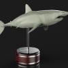 Mako Shark sculpted in Zbrush and rendered in Keyshot.  To be make into a model it.