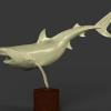 Tiger Shark Zbrush