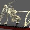 Dragon Skeleton sculpted in Zbrush and rendered in Keyshot.  Printed and produce as a model kit.