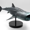 Whale Shark sculpted in Zbrush and rendered in Keyshot.