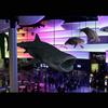 Whale Shark and Beluga Whales-Zbrush/Photoshop-Proposed life-size animals for Georgia Aquarium-2011